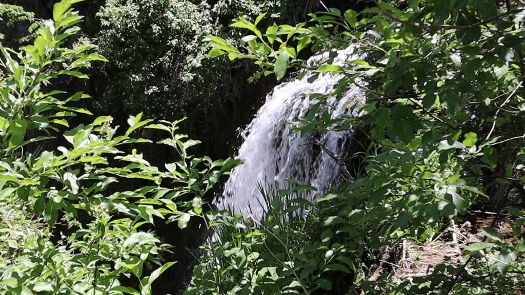 Roughlock Falls Trail Spearfish Canyon South Dakota