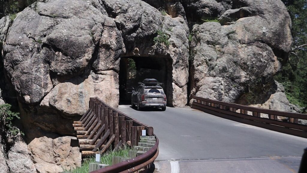 needles highway south dakota custer state park